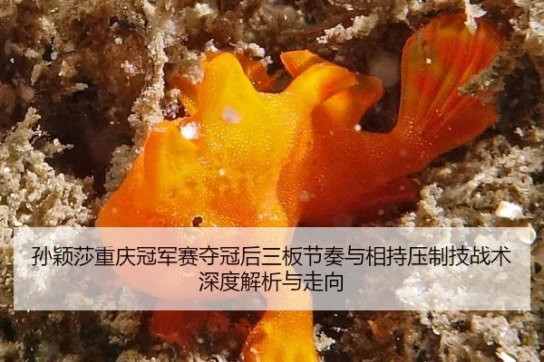 sun-ying-sha-chong-qing-guan-jun-sai-duo-guan-hou-san-ban-jie-zou-yu-xiang-chi-ya-zhi-ji-zhan-shu-shen-du-jie-xi-yu-zou-2-513.jpg