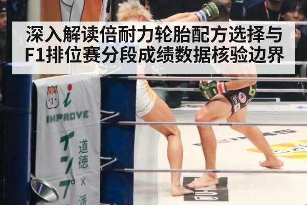 深入解读倍耐力轮胎配方选择与F1排位赛分段成绩数据核验边界